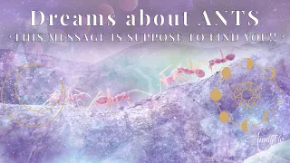 When You Dream About ANTS? ❤️ Are ANTS in dreams good or bad? ❤️ | COLLAB @Auntyflo