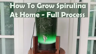 How To Grow Spirulina At Home - Full Process