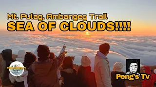 Mt. Pulag Ambangeg Trail SEA OF CLOUDS