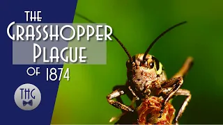 The Great Kansas Grasshopper Plague of 1874