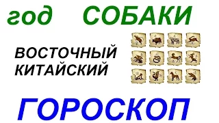 Год Собаки. Восточный гороскоп от психолога Натальи Кучеренко.