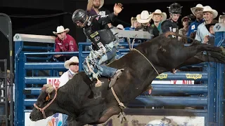 Winner Winner, Chicken Dinner! All The Winners From Calgary Stampede | 2019