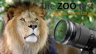 Zooming into Wildlife: Olympus 40-150mm f/2.8 Lens Tested at Copenhagen Zoo