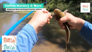 Fishing the Catfish Nursery on the Salamonie River in Huntington County Indiana
