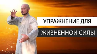 Упражнение для жизненной силы "ЖЕМЧУЖИНА ДРАКОНА". Константин Перо. Академия Целителей.