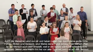 Herr ich sehe deine Welt ( MGR GEMEINDE CHOR ) mit text [ lyrics ]