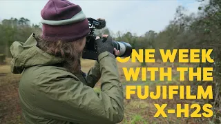My first week (ish) with the Fujifilm X-H2S for Wildlife Photography