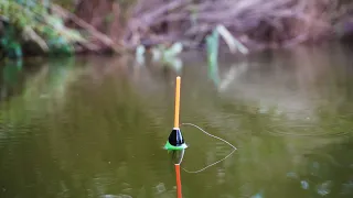 Carp fishing on a float. Fishing with float and technique