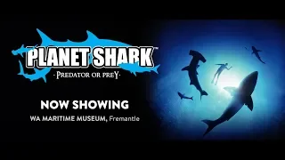 New Exhibition Alert! Planet Shark: Predator or Prey
