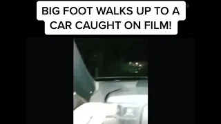 Bigfoot