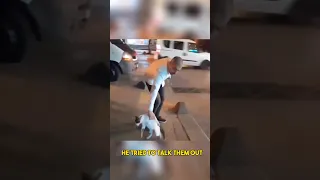 Man Breaks Up Cat Fight In Hilarious Way