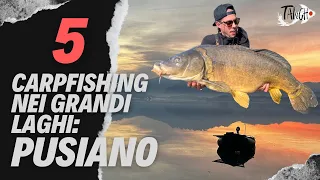 TANCHO BAIT: Episodio 5 Carpfishing nei grandi laghi