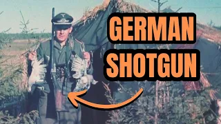 Why No German Shotguns In WW2?