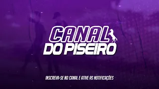 GALERA DO PISEIRO - Fábio Diniz ll Musica Nova 2020 (CanalDoPiseiro)