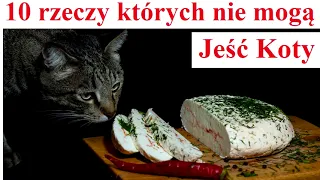 10 rzeczy których nie powinny Jeść Koty