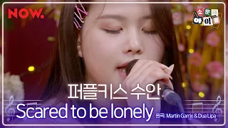 [LIVE] 퍼플키스 수안 (Purple Kiss) -  Scared To Be Lonely cover. | 소문의 아이들