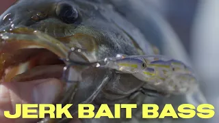 JERK BAIT BASS - Dave Mercer's Facts of Fishing THE SHOW Season 13 Full Episode