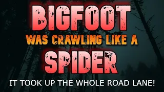 BIGFOOT WAS CRAWLING LIKE A SPIDER! IT TOOK UP THE WHOLE ROAD LANE!