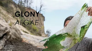 Project GLONY: An Accessible Way to Make Algae Bioplastic at Home & Biodesign for the Baltic Sea