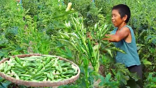 农村里的幸福很简单，把新鲜的食物采摘回来晒干，再炖上一锅牛排秋葵汤面太香了