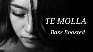 Te Molla _ remixbeatsmusic ( bass boosted ) RBM357