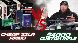 Cheap 22LR Ammo VS. $4000 Custom Rifle