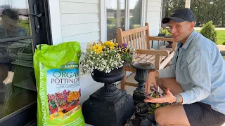 Planting SPRING Annuals & Boxwood Plants 🌼🪻🌳|| Wyse Guide