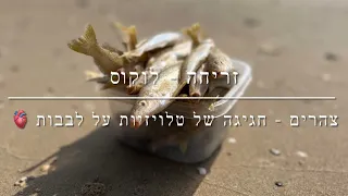 דייג - לוקוס בזריחה | חגיגה של טלויזיות בצהרים - אקשן מהנה על האולטרה לייט 2022.