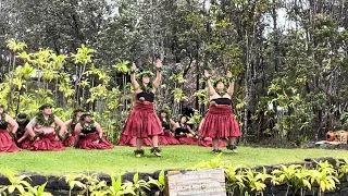 Unulau Hula Kahiko Brilliance