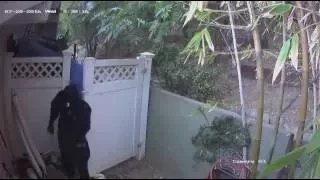 Residential Burglary Suspects Caught on Tape