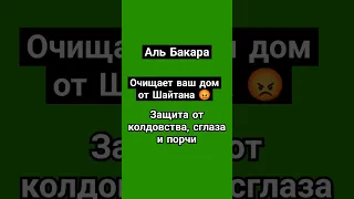 Сура Аль Бакара, Очищает ваш дом от Шайтана 😡 колдовства, сглаза и порчи!! #коран #сура #бакара