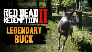 Red Dead Redemption 2 Legendary Animal - Legendary Buck