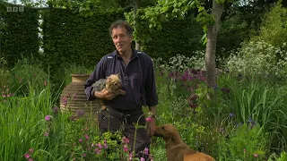 Gardeners' World 2024🍀 Compilations Episode 3