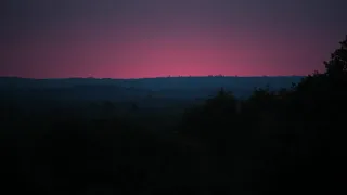 May: Entering wolf territory | De Veluwe, the Netherlands