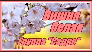 "Вишня белая" - группа "Садко"