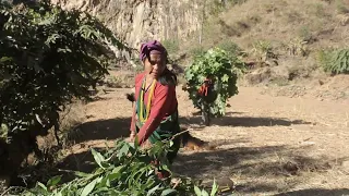 Real videos footage of village documentary || Village life || Nepali village