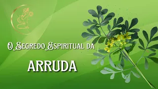 Desvendando a Arruda: O Poder Oculto desta Planta Espiritual