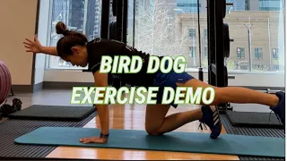 Strengthen Your Core and Get Fit with Bird Dog Exercise