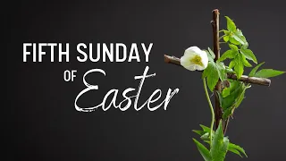 Fifth Sunday of Easter 4-28-24