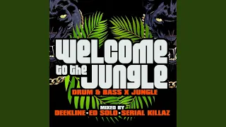 Welcome To The Jungle (Continuous DJ Mix, Pt. 2)