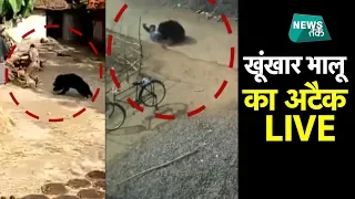 कहां भालू ने मचाया कोहराम? पुलिस और लोगों पर भालू का हमला EXCLUSIVE