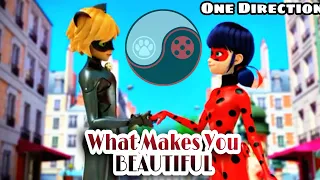 || What Makes You Beautiful || One Direction || Miraculous Ladybug AMV ||