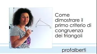 Primo criterio di congruenza dei triangoli