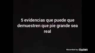 5 encuentros aterradores con pie grande captados en camara y vistos en la vida real resubido