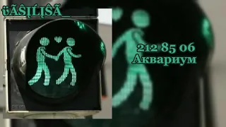 212 85 06 - Аквариум