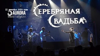 Серебряная свадьба  КЗ "Аврора" (СПб)  11.12.14