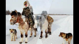 видео Ивановой Е А, поет Михаил Пестряков, "Мичээргинэ бэлэхтээ"