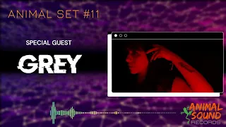 ANIMAL SET #11 -  Special Guest [GREY] #melodictechno #melodichouse