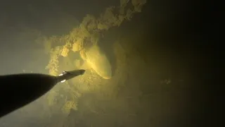 Подводная охота, сазан, май 2024. Тест нового фонаря illuminator r27pro