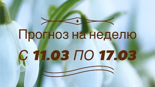 Прогноз на картах Таро на неделю с 11.03 по 17.03🌷🌿